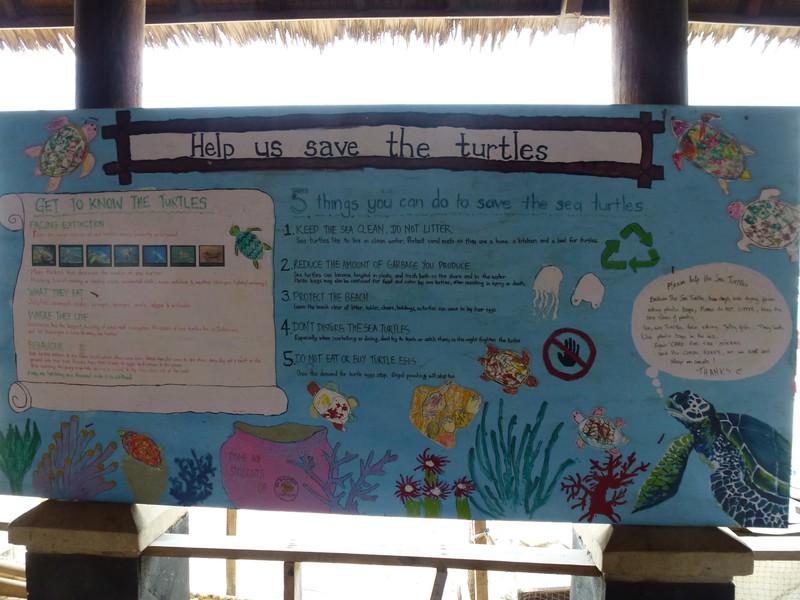 Another sea turtle conservation sign