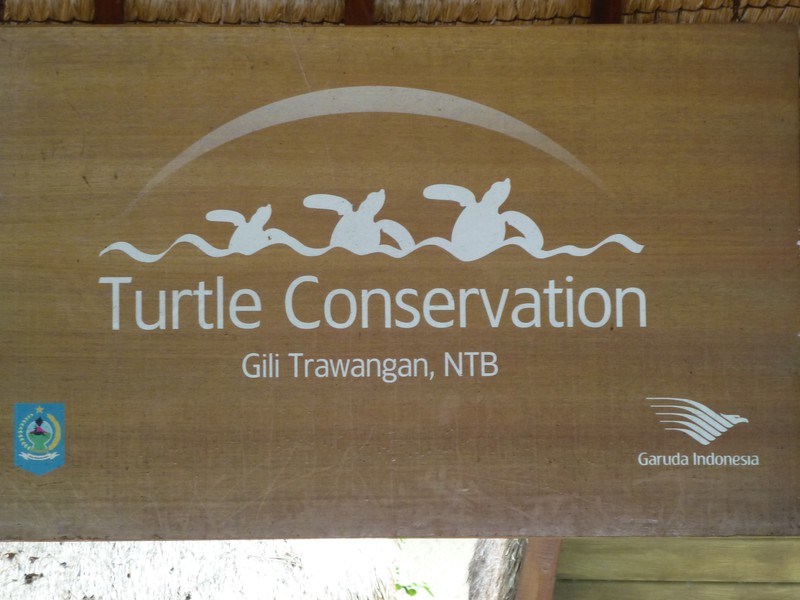 Like the sign says: Turtle Conservation
