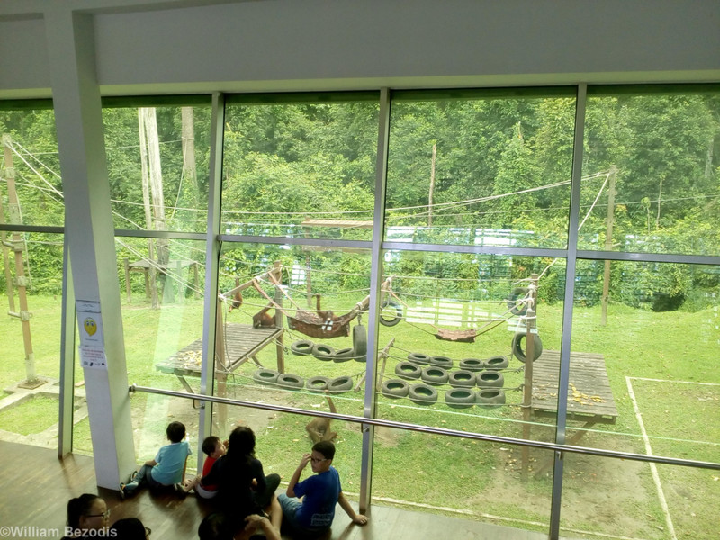 Orangutan Rehabilitation Centre