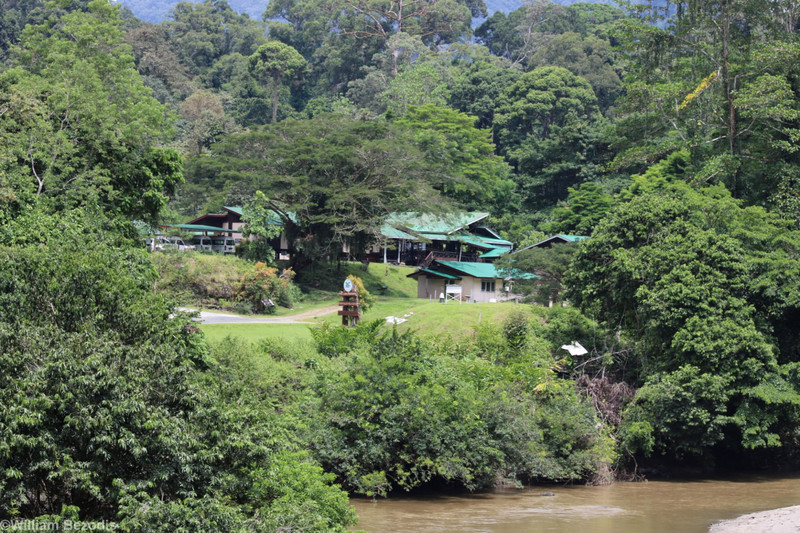 The Danum Valley Field Centre