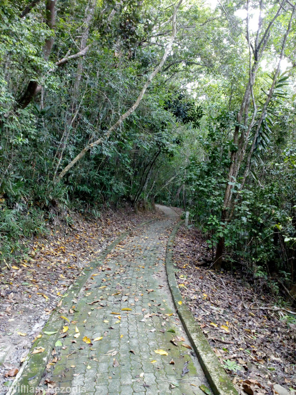 Pathway on Manukan