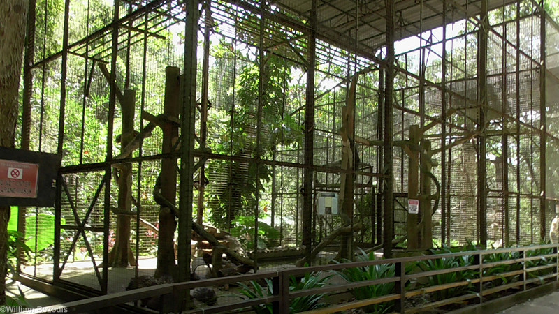 Binturong and Porcupine Enclosures