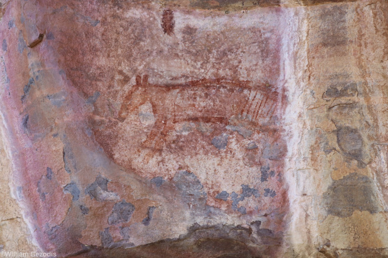 Thylacine Rock Art
