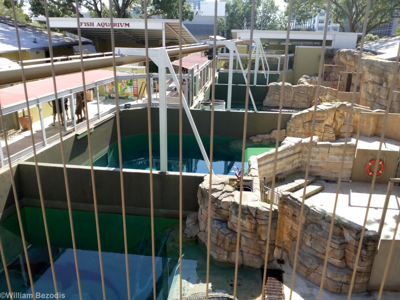 Large Crocodile Enclosures