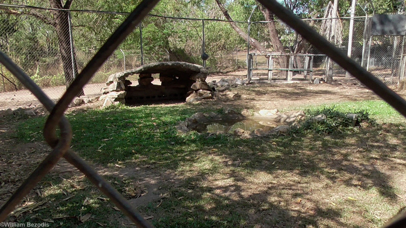 Maned Wolf Enclosure