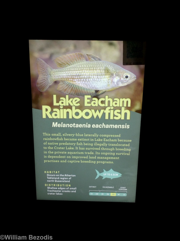 Sign at the Cairns Aquarium