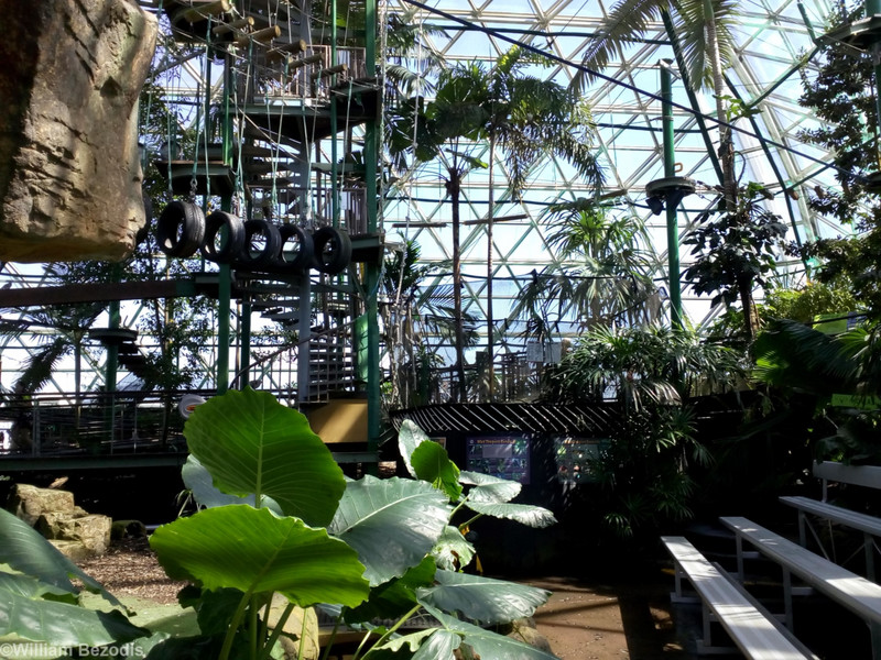 View in the Wildlife Dome