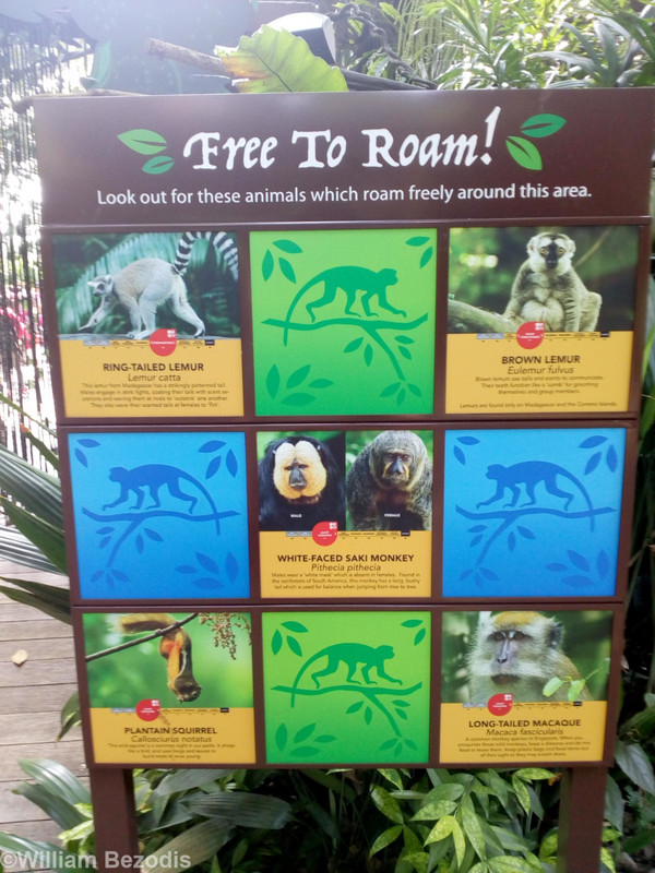 Free roaming animals sign