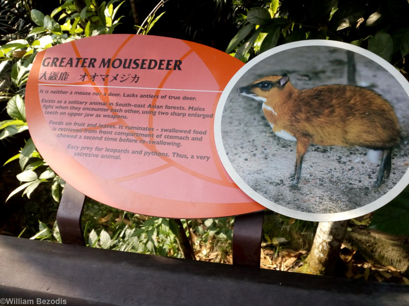 Singapore Zoo Signage