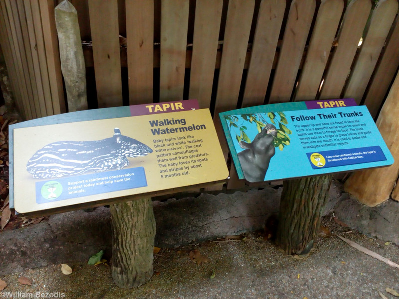 Tapir Sign
