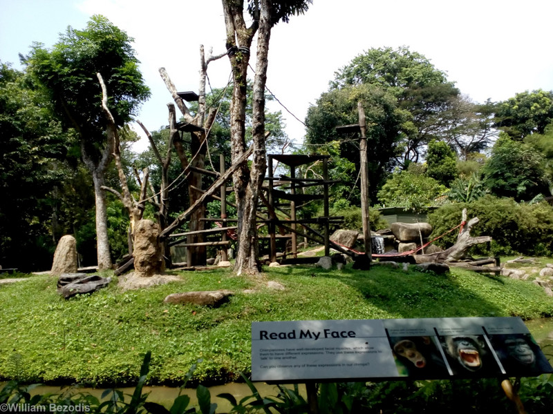 Chimp Enclosure