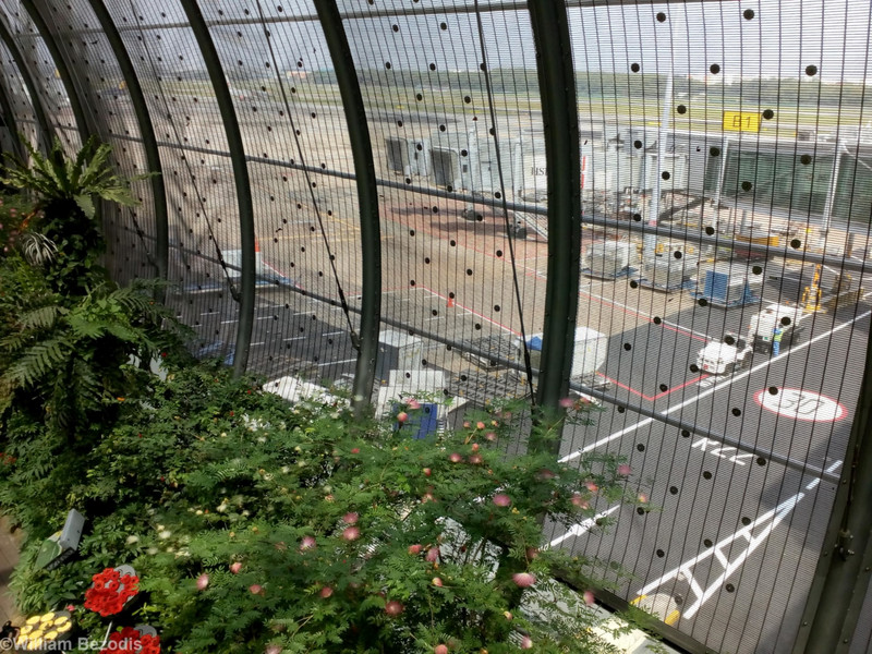 Changi Airport Butterfly Garden