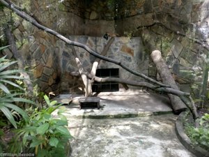 Palm Civet Enclosure