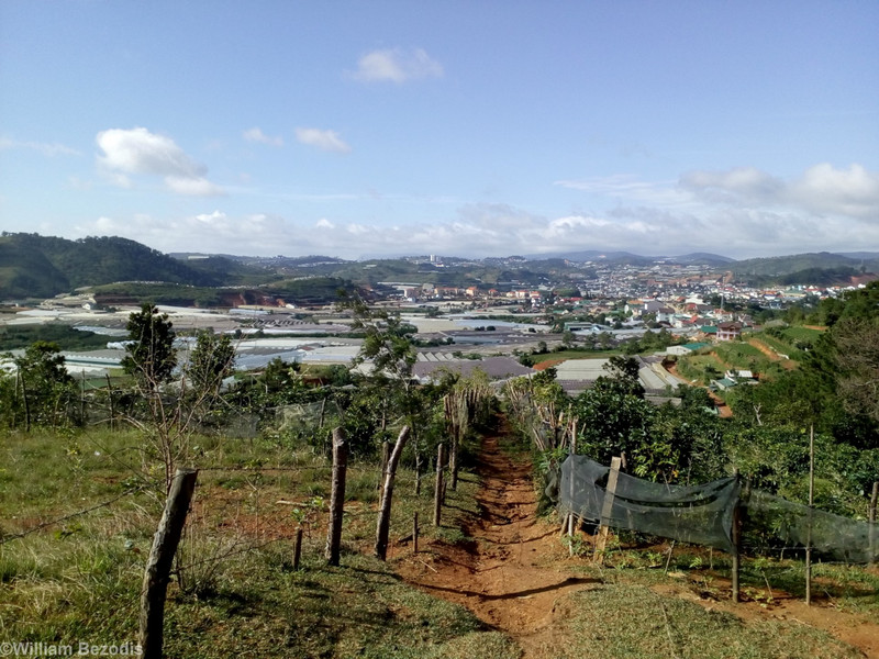 Strawberry and Coffee Growing and View to Dalat