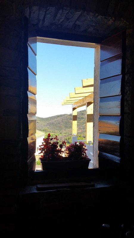 View From The Winery