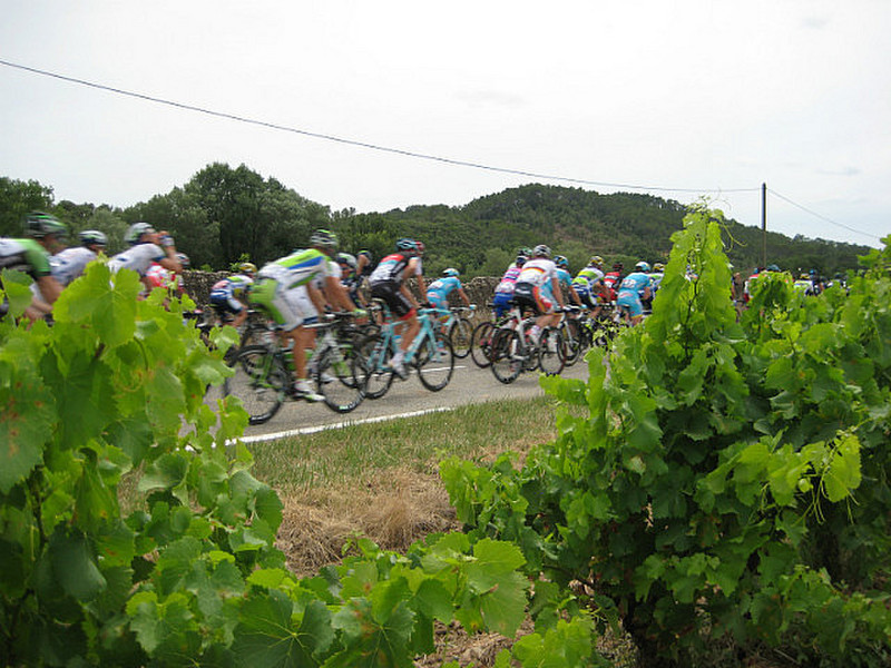 The peloton, from the vineyards