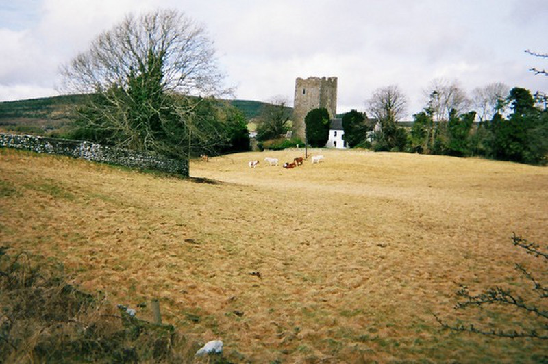 Clomantagh Castle and farmhouse