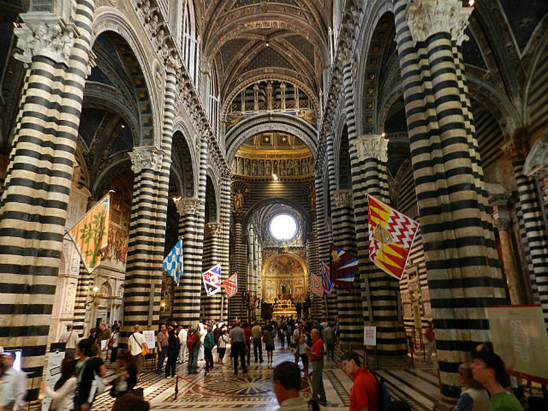 Siena Duomo nave