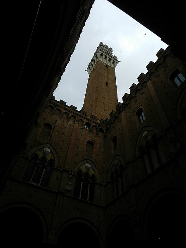 Torre del Mangia from Palazzo Pubblico courtyard