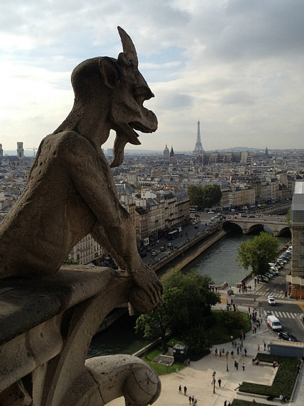 Notre-Dame gargoyle over Paris
