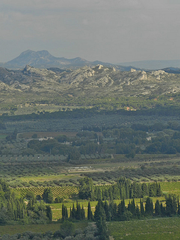 A view over the valley to the Alpilles mountains