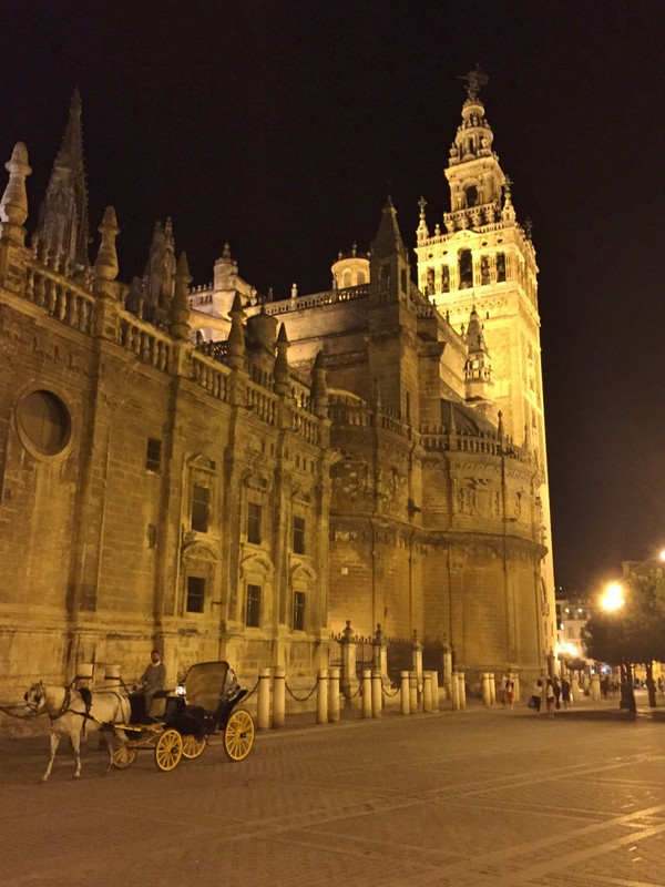 Sevilla cathedral at night