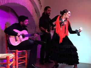 Flamenco dance 1