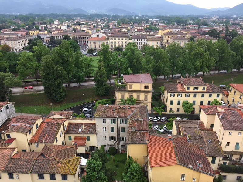 View of city wall from San Martino bell tower 