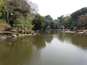 Shinjuku Gyoen Park 