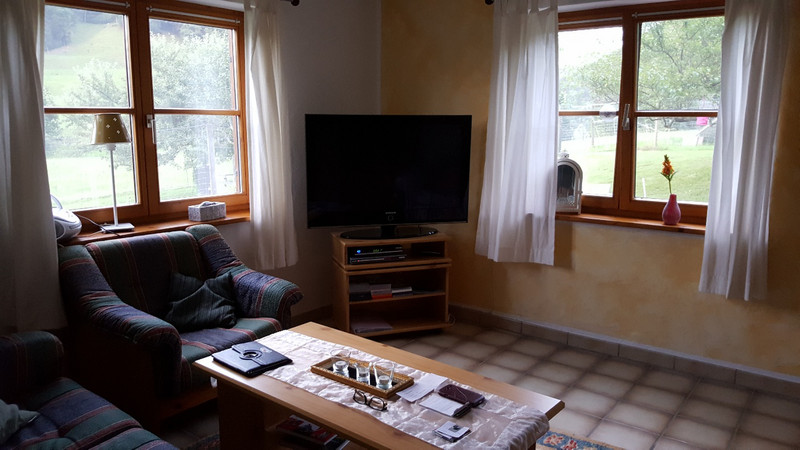 Baretswil home living room