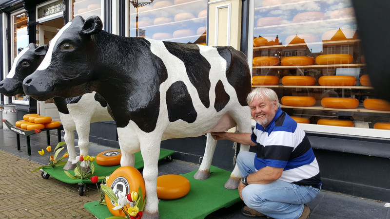 Wayne milking a cow?