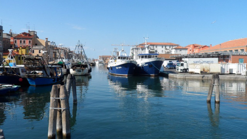 Fishing fleet, Chioggia