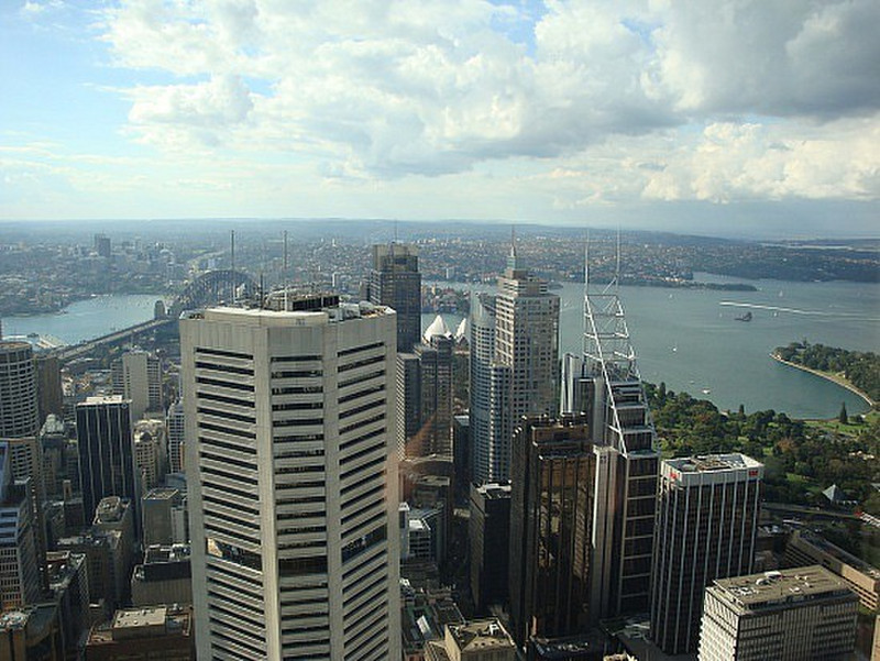 Sydney from sky tower