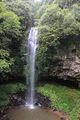 Dorrigo National Park Waterfall