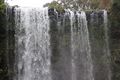 Dorrigo National Park Waterfall