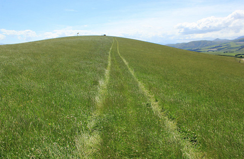 Tracks To The Too Of The Hill