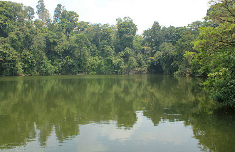 Reflective Shot Of The Lake