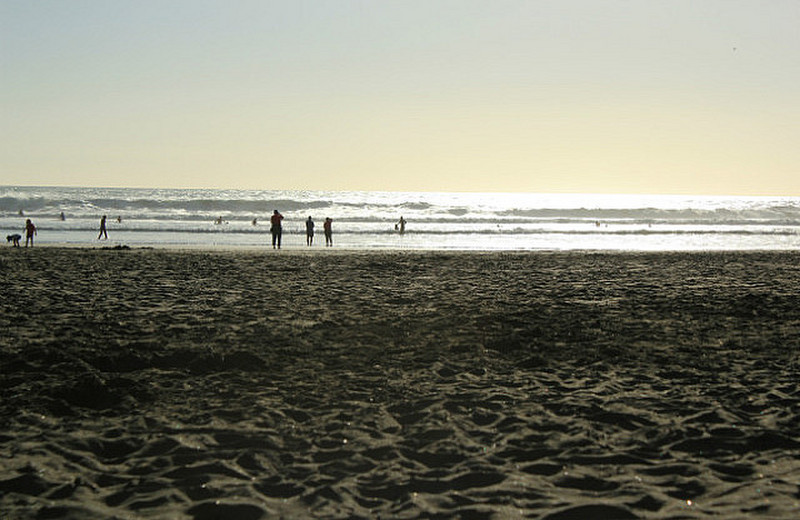 Piha Beach