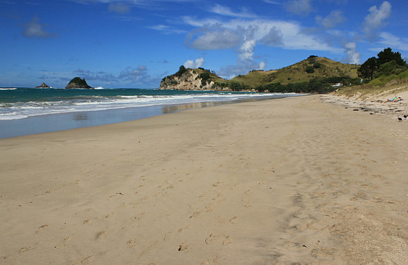 Beach Coromandel Peninsula