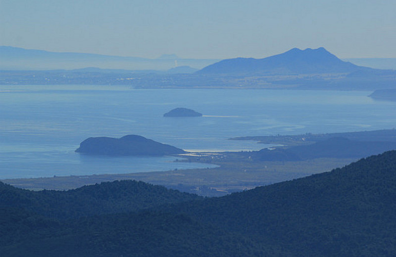 Lake Taupo View