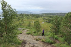 Bergen Area Views