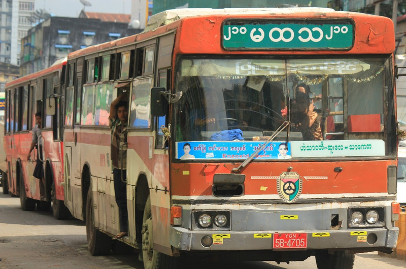 Local Buses