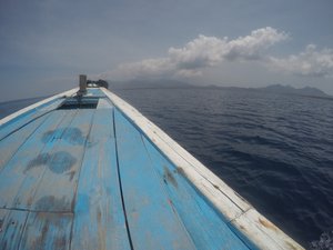 Snorkelling Menjangan 