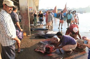 Fish Market Kollam