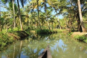 Backwaters Canoe Trip