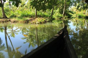 Backwaters Canoe Trip