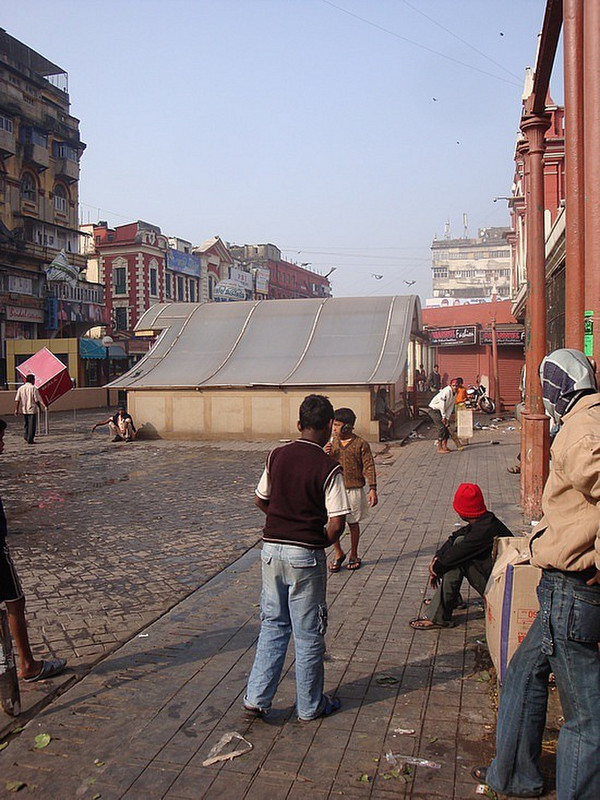 Cricket in the Streets