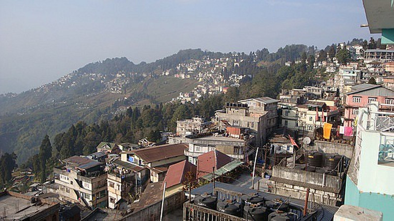 Slopes of Darjeeling