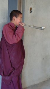 Blowing a Horn