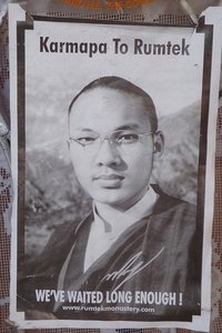 Bring Back Karmapa